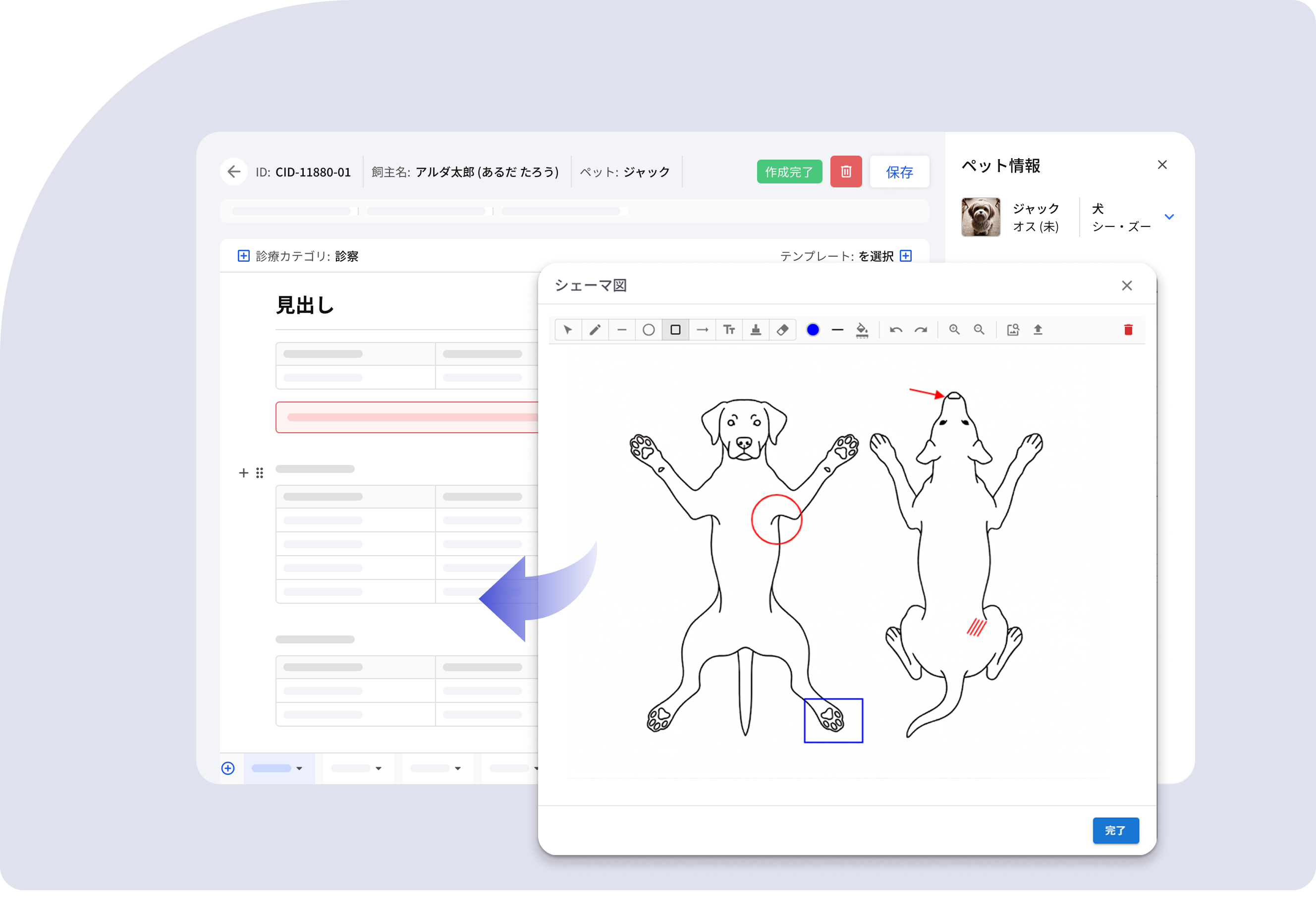 シェーマ機能 — カルテ上で図示・書き込み
