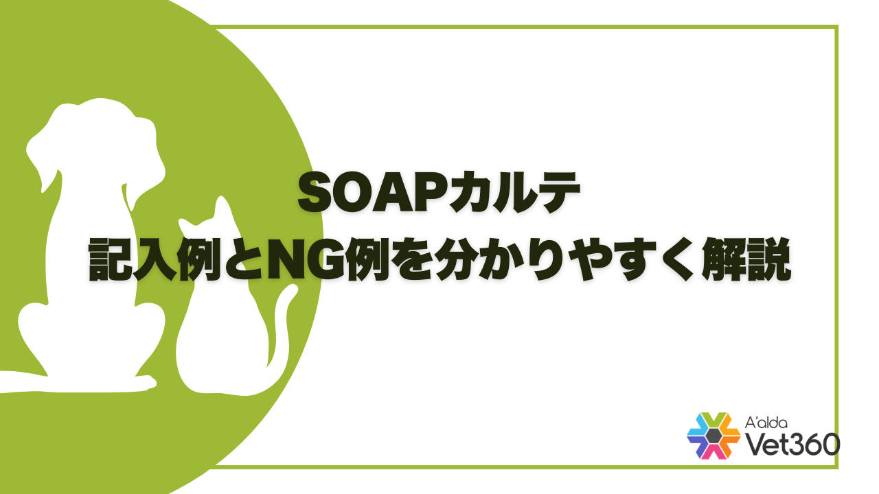 soap_実例